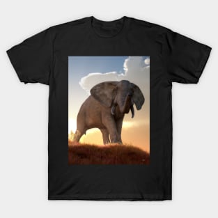 African Elephant at Sunrise T-Shirt